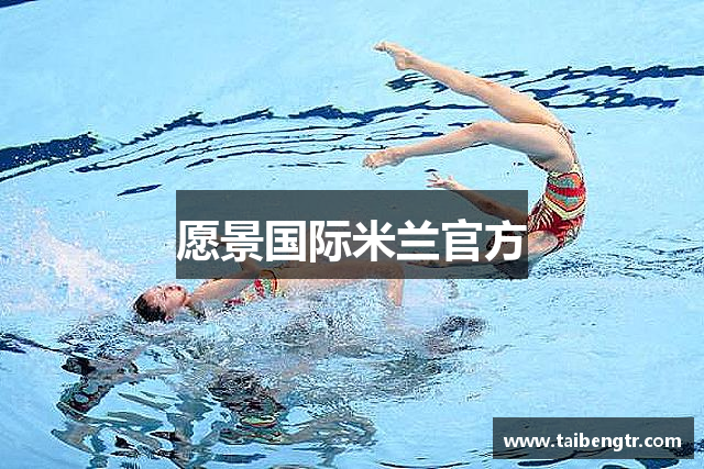 愿景国际米兰官方